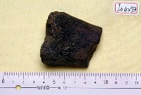 藏品(破骨一枚)的圖片